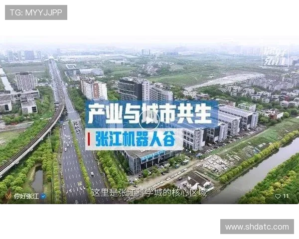 探索以电竞俱乐部为核心的城市青年文化与产业生态构建路径研究分析
